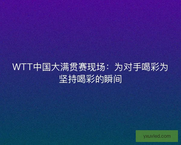 WTT中国大满贯赛现场：为对手喝彩为坚持喝彩的瞬间