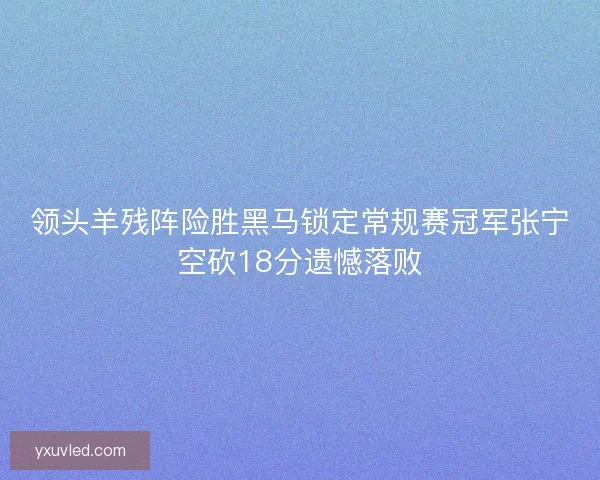 领头羊残阵险胜黑马锁定常规赛冠军张宁空砍18分遗憾落败