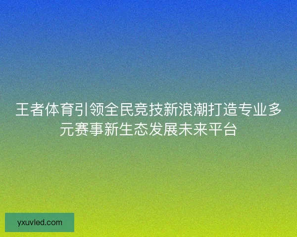 王者体育引领全民竞技新浪潮打造专业多元赛事新生态发展未来平台